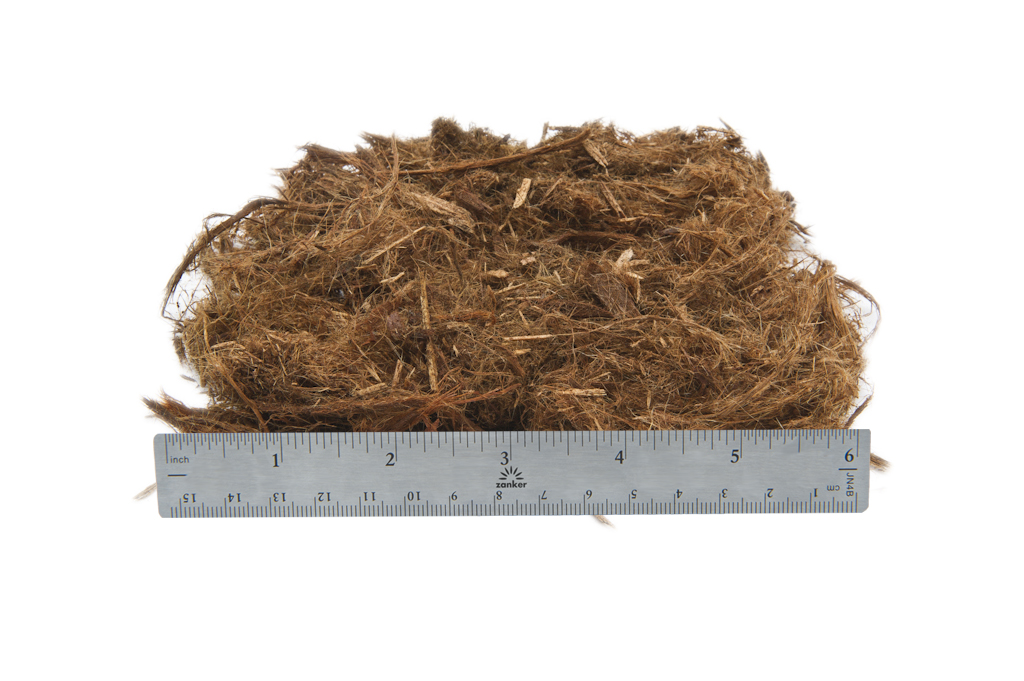 Cascade Cedar (Gorilla Hair) – Bedrock Landscaping
