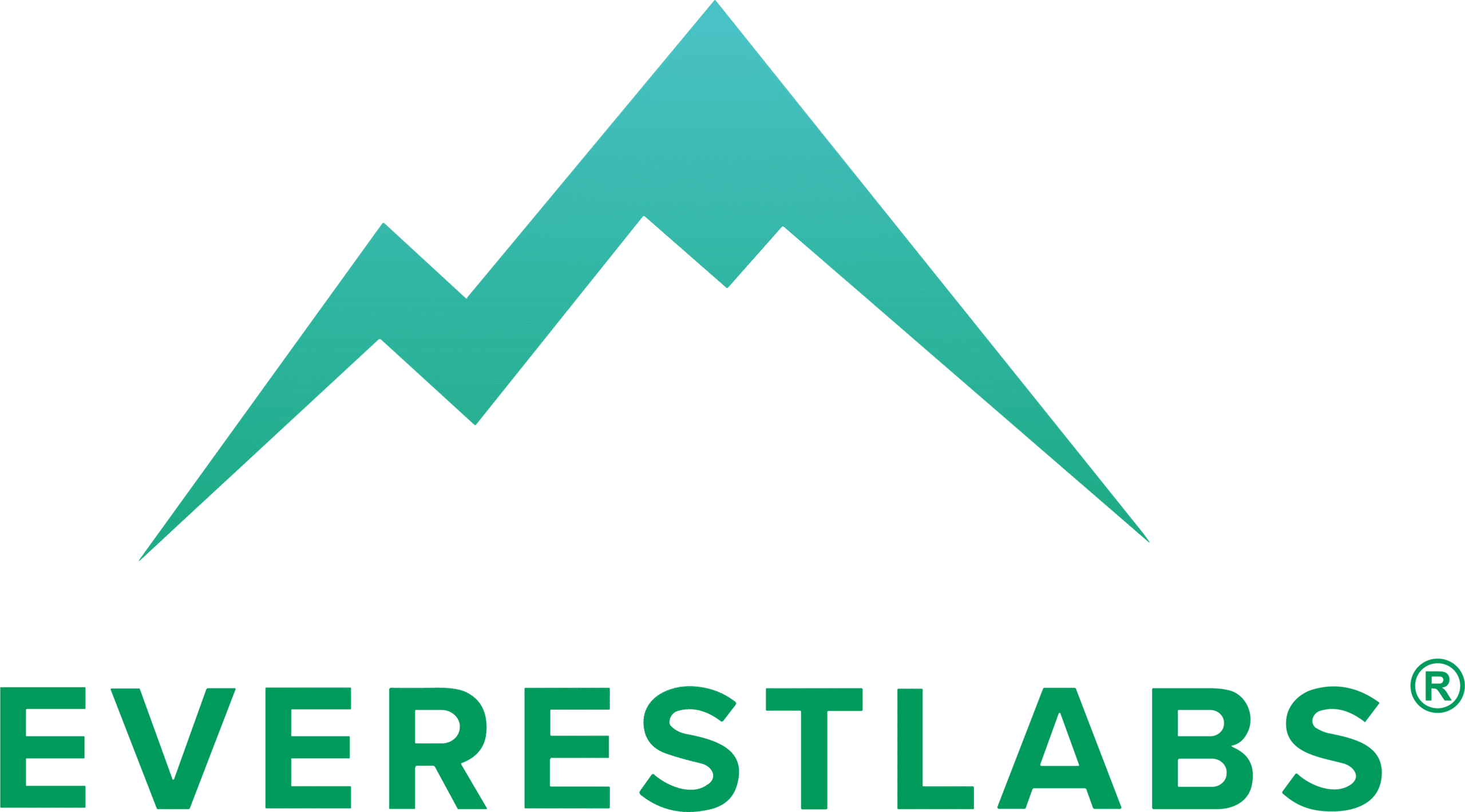 EverestLabs_color_logo-1-scaled
