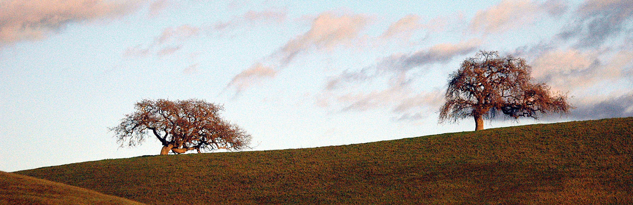 Portola Valley - GreenWaste