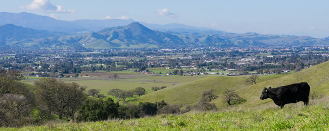 south-santa-clara-county-sorting-guidance