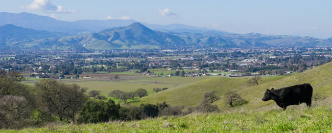 South Santa Clara County